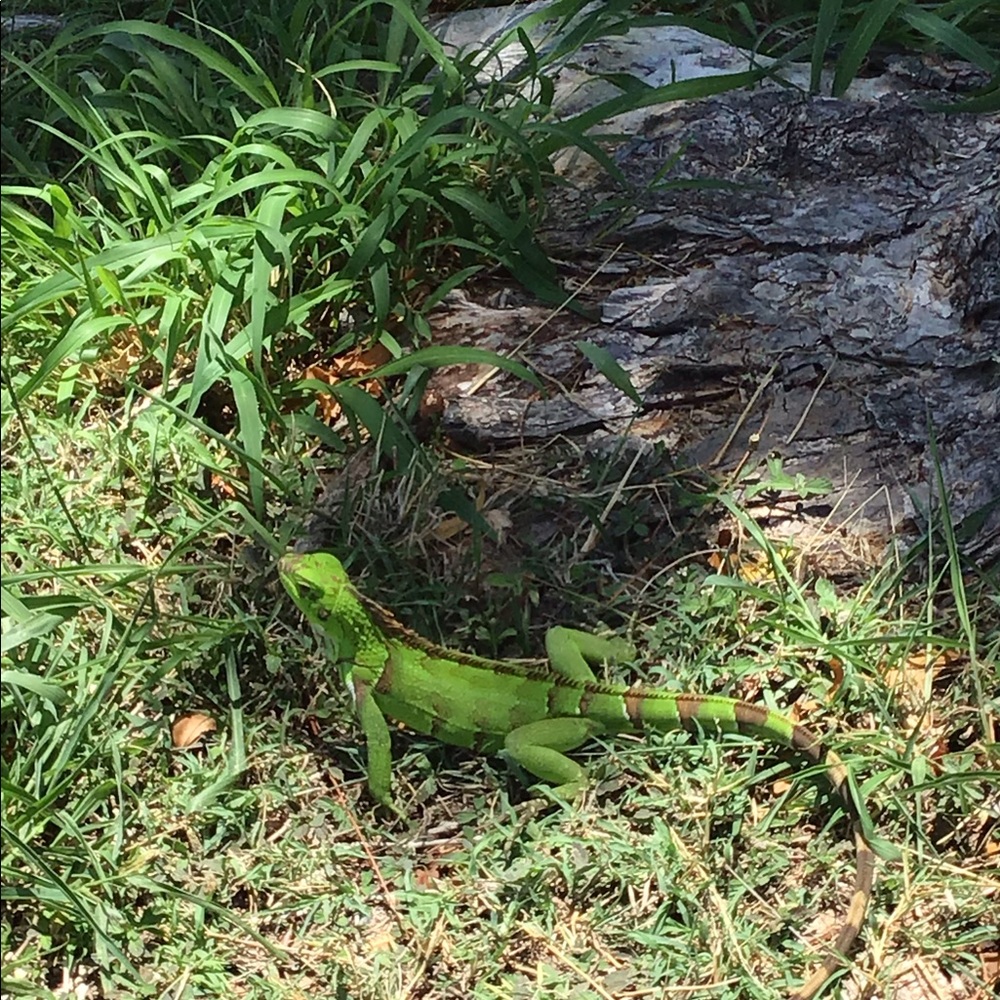 Meet your Posher, Posh